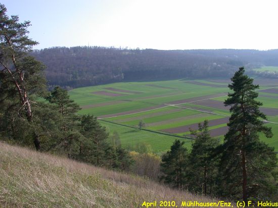 April 2010