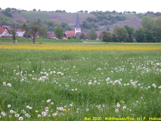 Mai 2010