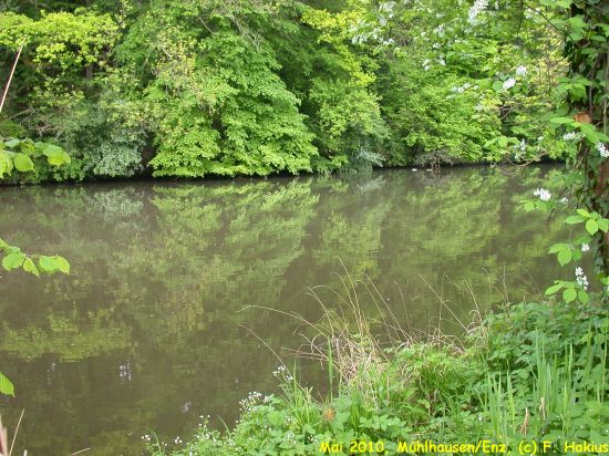 Mai 2010