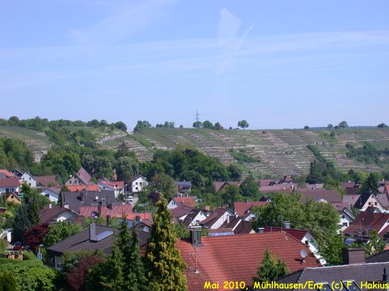 Mai 2010