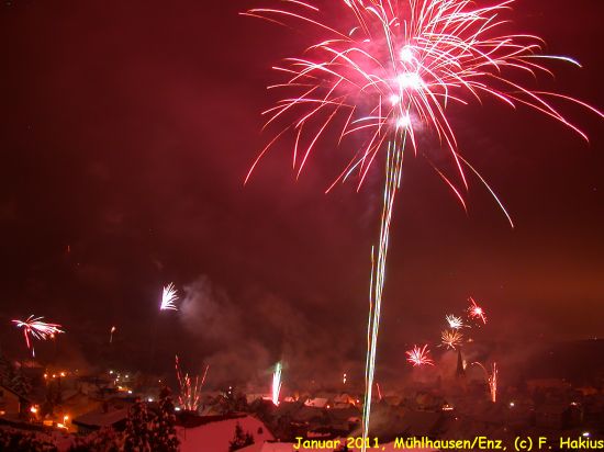 Januar 2011