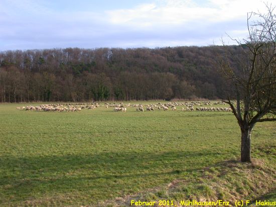 Februar 2011