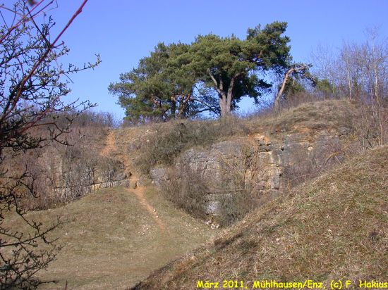 März 2011