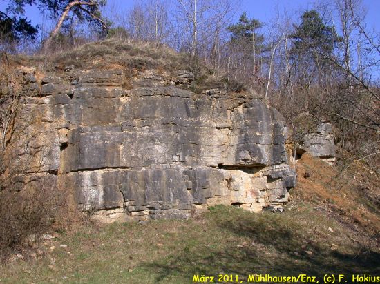 März 2011