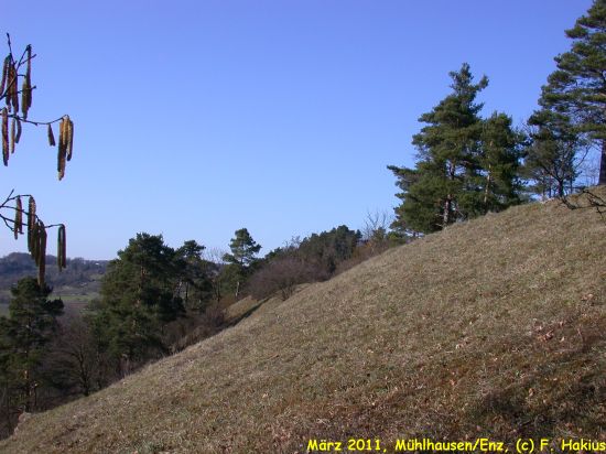 März 2011