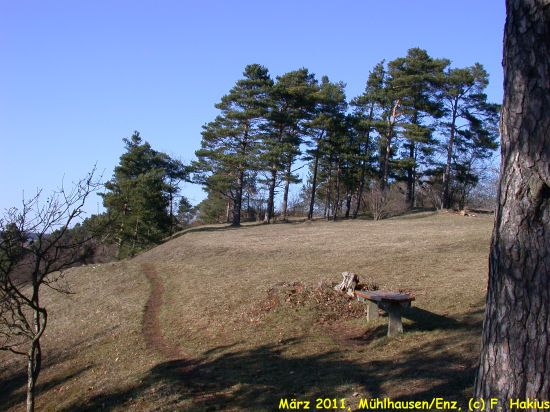 März 2011