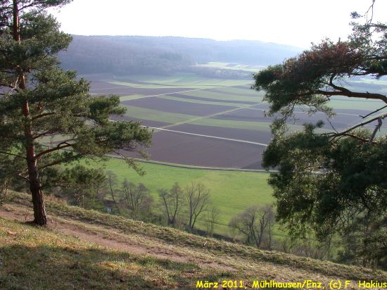 März 2011