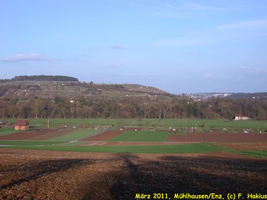 März 2011