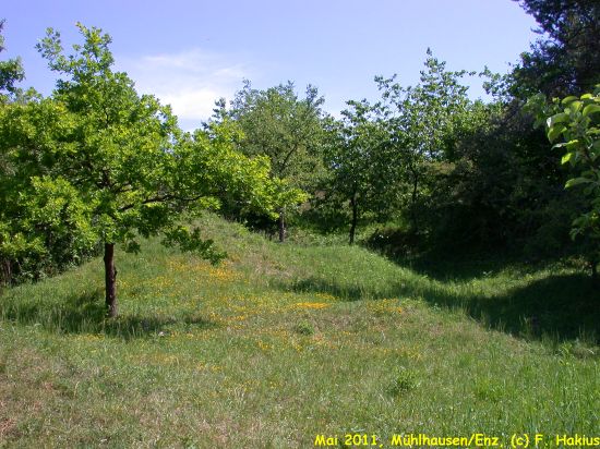 Mai 2011
