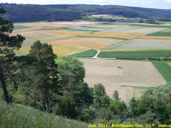 Juni 2011