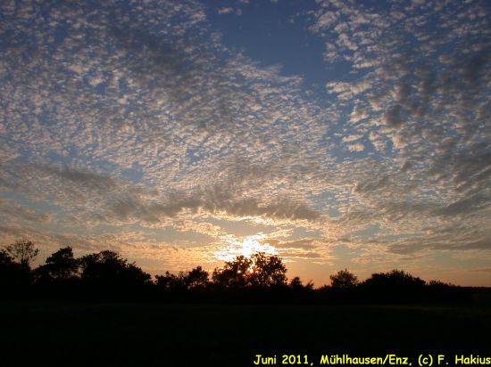 Juni 2011