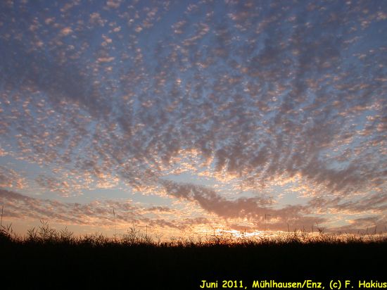 Juni 2011