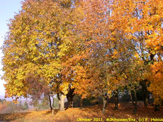 Oktober 2011