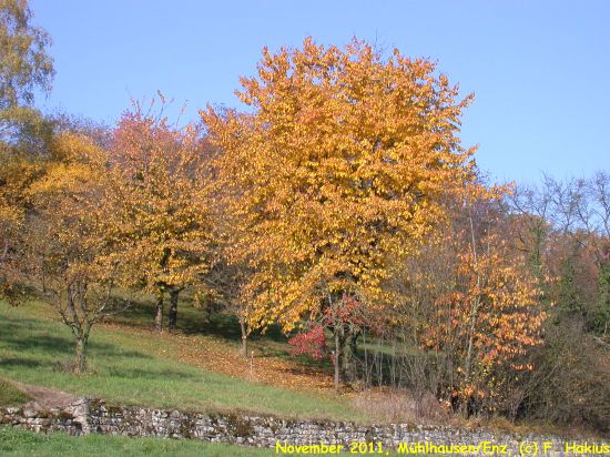 November 2011