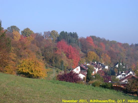 November 2011