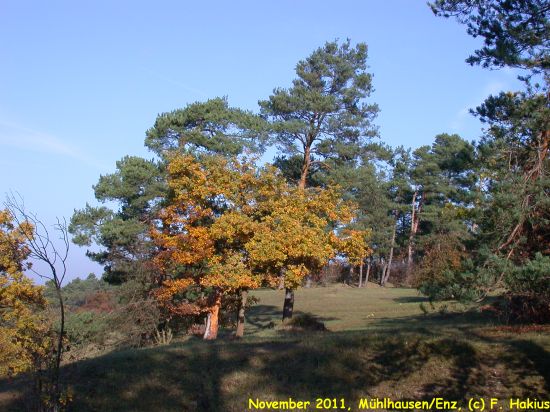 November 2011