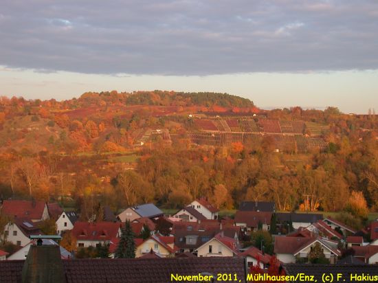 November 2011