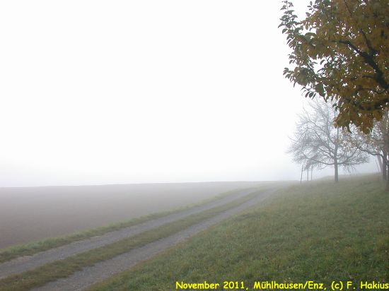 November 2011