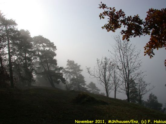 November 2011