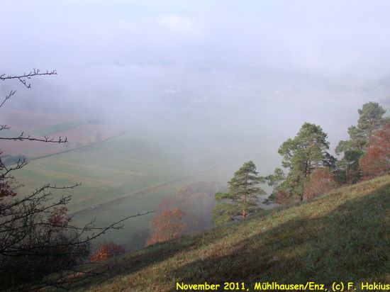 November 2011