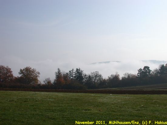 November 2011