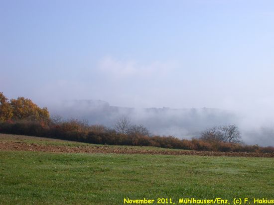 November 2011