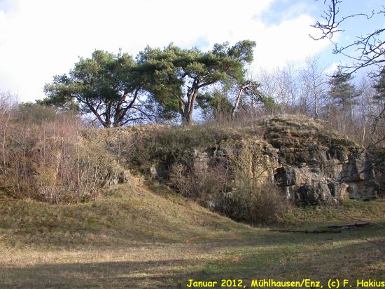 Januar 2012