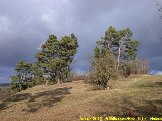 Januar 2012