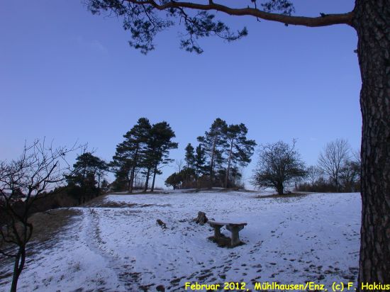 Februar 2012