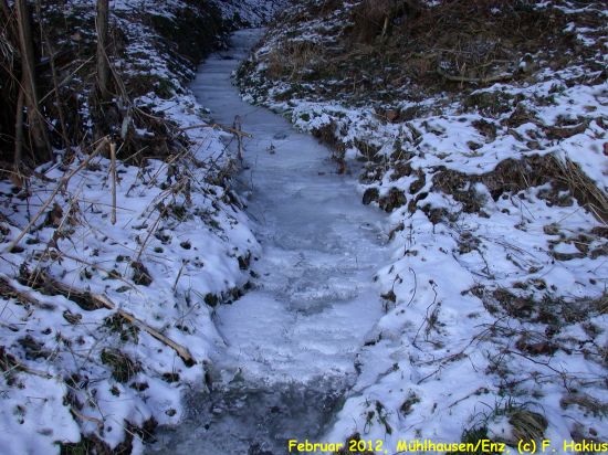Februar 2012
