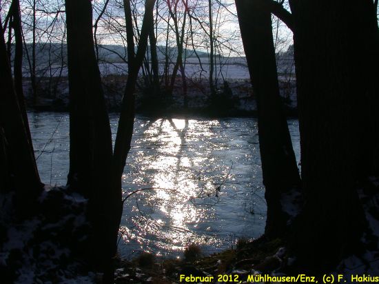 Februar 2012