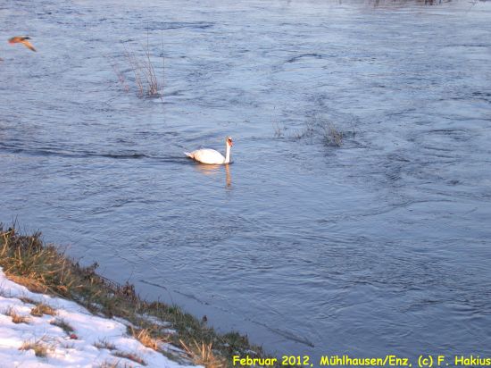 Februar 2012