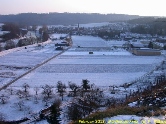Februar 2012