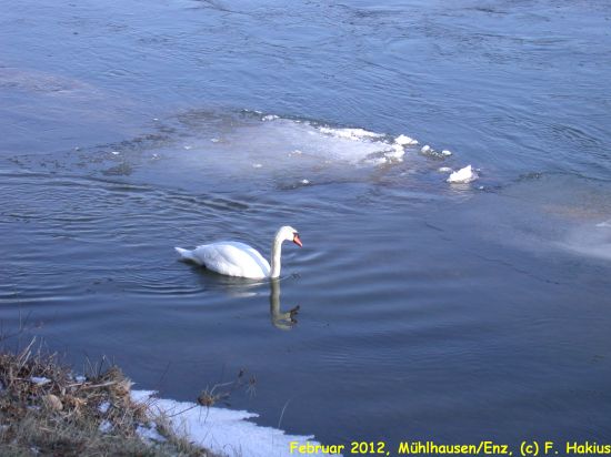 Februar 2012