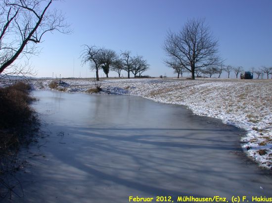 Februar 2012
