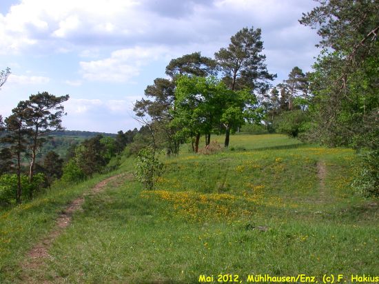 Mai 2012
