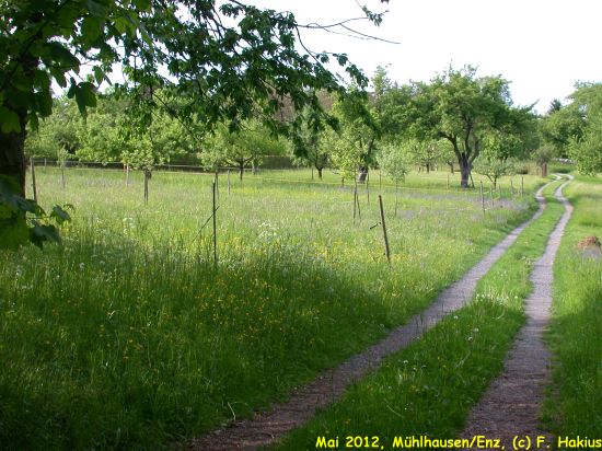 Mai 2012