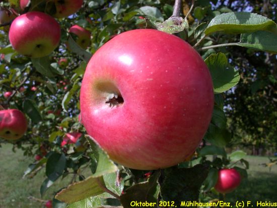 Oktober 2012