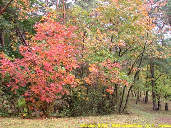 Oktober 2012