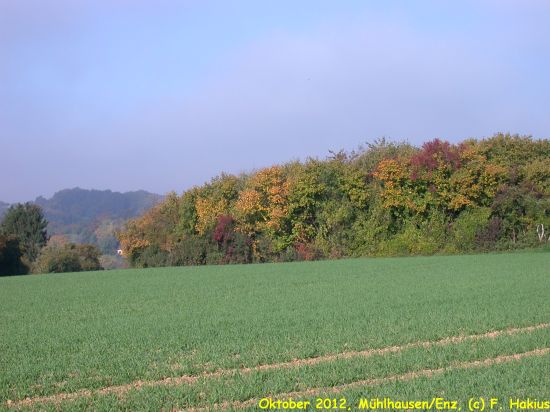 Oktober 2012
