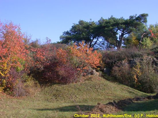 Oktober 2012