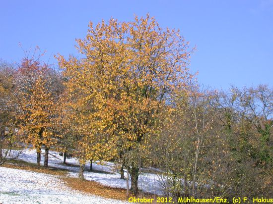 Oktober 2012