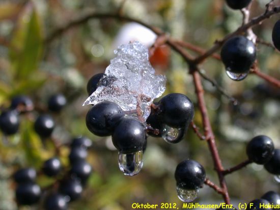 Oktober 2012