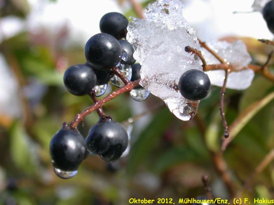 Oktober 2012
