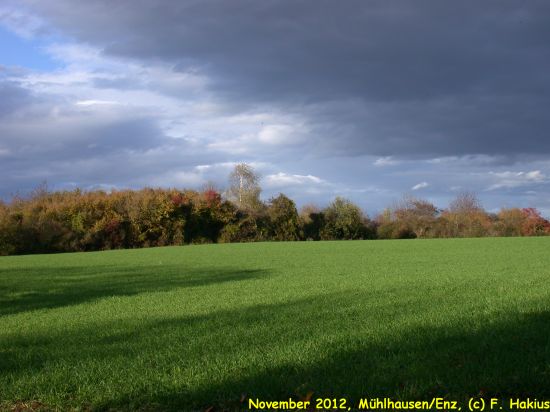 November 2012