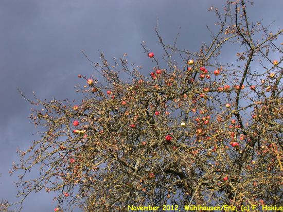 November 2012