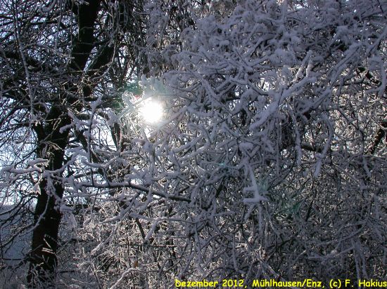 Dezember 2012