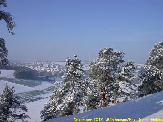 Dezember 2012