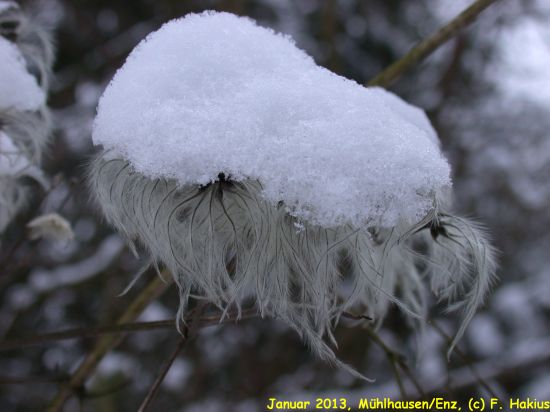 Januar 2013