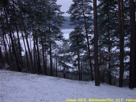 Januar 2013